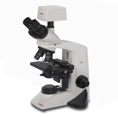 Labomed CxL Microscope