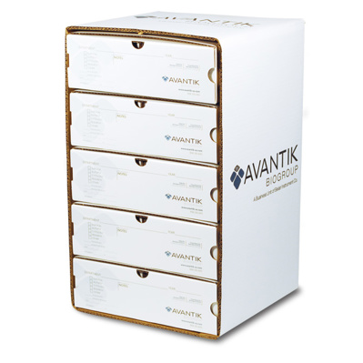 Cardboard Storage File Kit (w/surround)