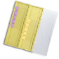 Plastic Slide Folder (20 Slide) - Yellow